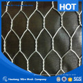 Alibaba China supplier hotsale chicken coop hexagonal wire mesh
